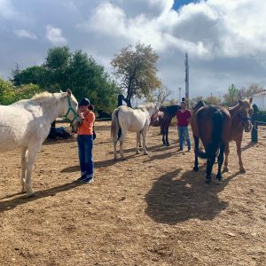 Retiro Vínculo y Tierra - Del 19 al 21 de Junio